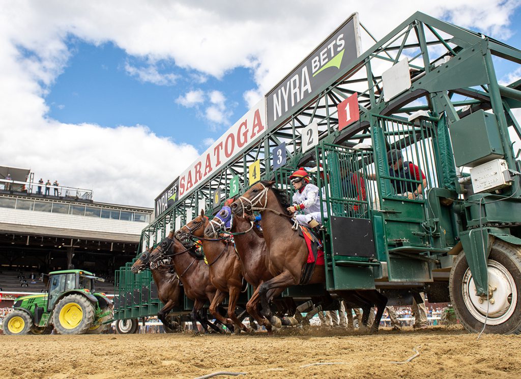 horses break from the starting gate at Saratoga Race Course