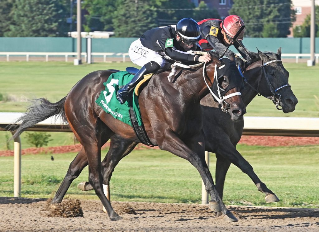 Sassy C W wins the Prairie Gold Lassie