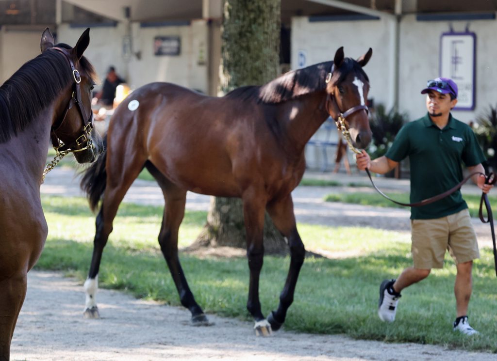 Fasig-Tipton sales grounds in Lexington