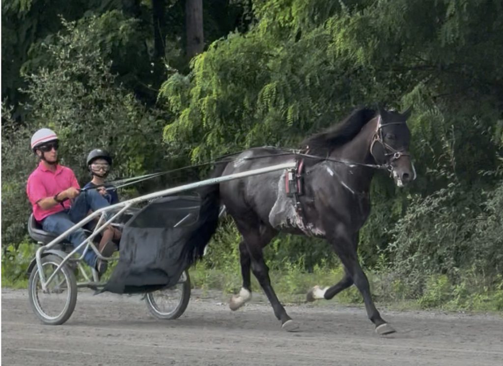 Joe Sharp, along with his son Tucker, out for a spin on the Saratoga harness track