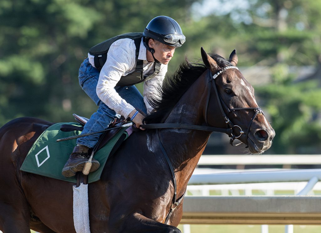 Sovereignty works with Neil Poznansky in the irons for trainer Bill Mott