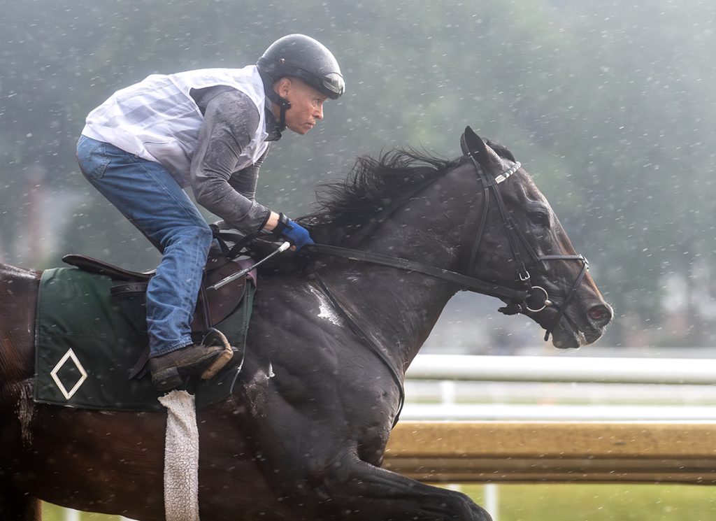 Sovereignty works at Saratoga