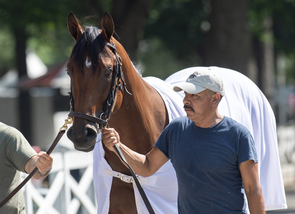 Stradale schools at Saratoga