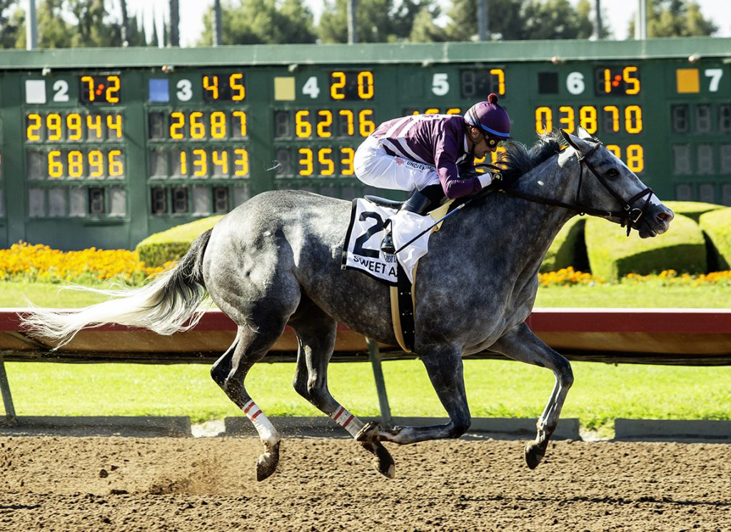 Sweet Azteca wins the Great Lady M