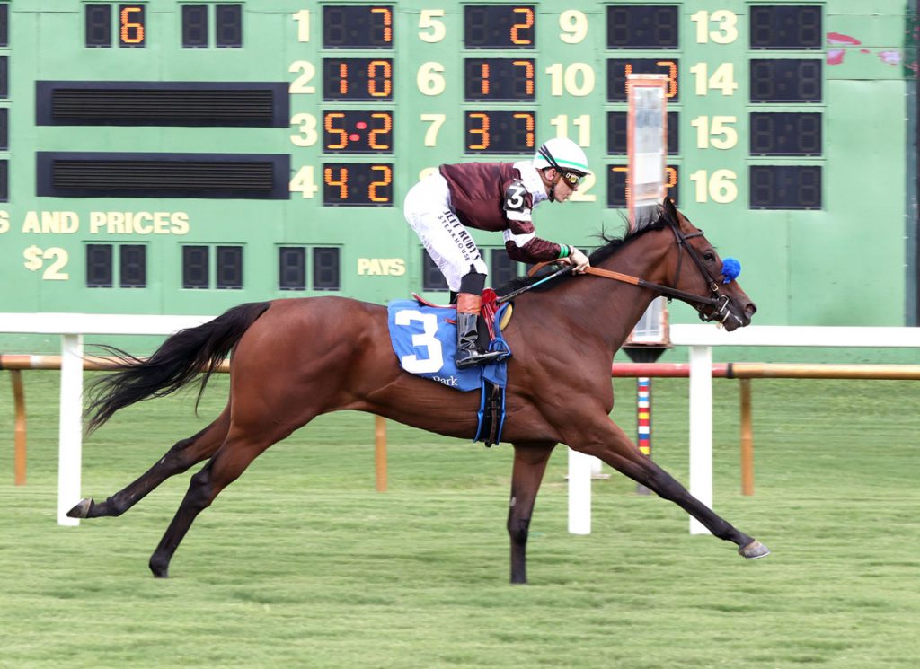 Z Z's breaks maiden in debut at Ellis Park