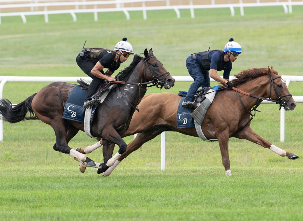 National Museum of Racing Hall of Fame morning line favorite Zulu Kingdom breezes at Saratoga