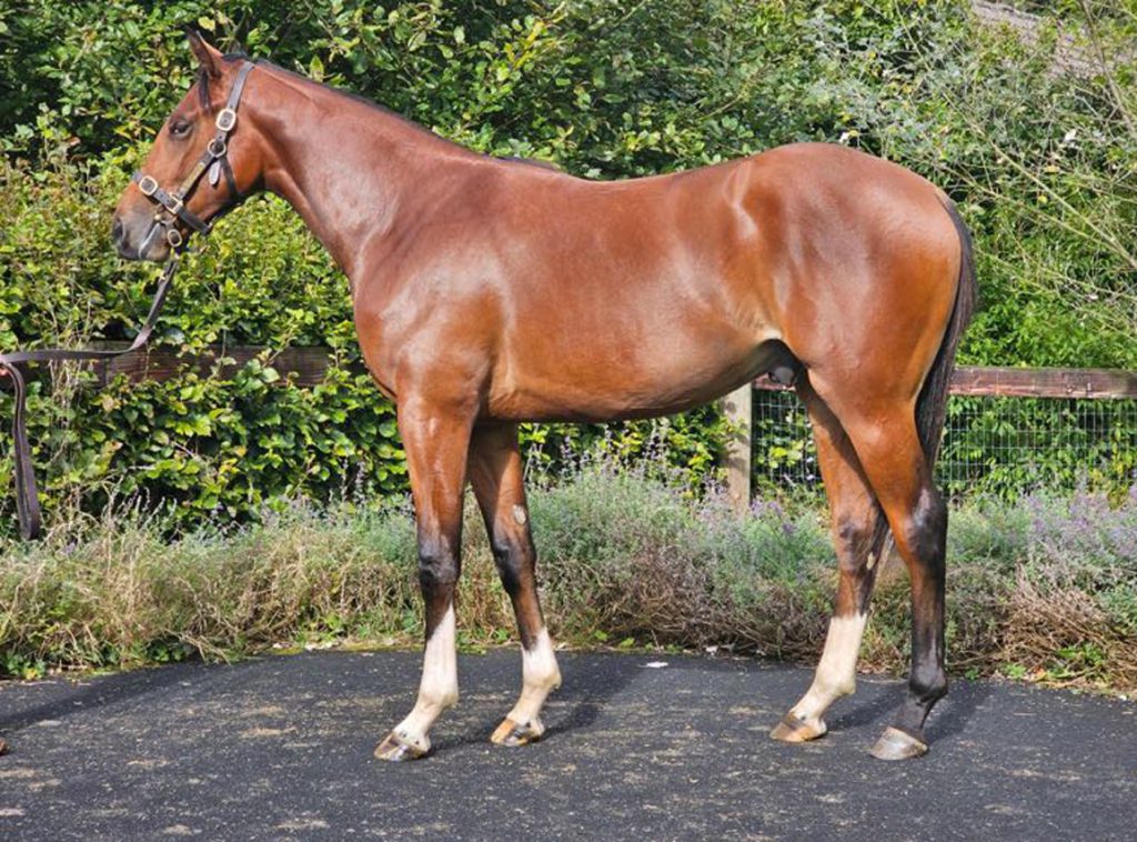 Ancient Egypt as a yearling