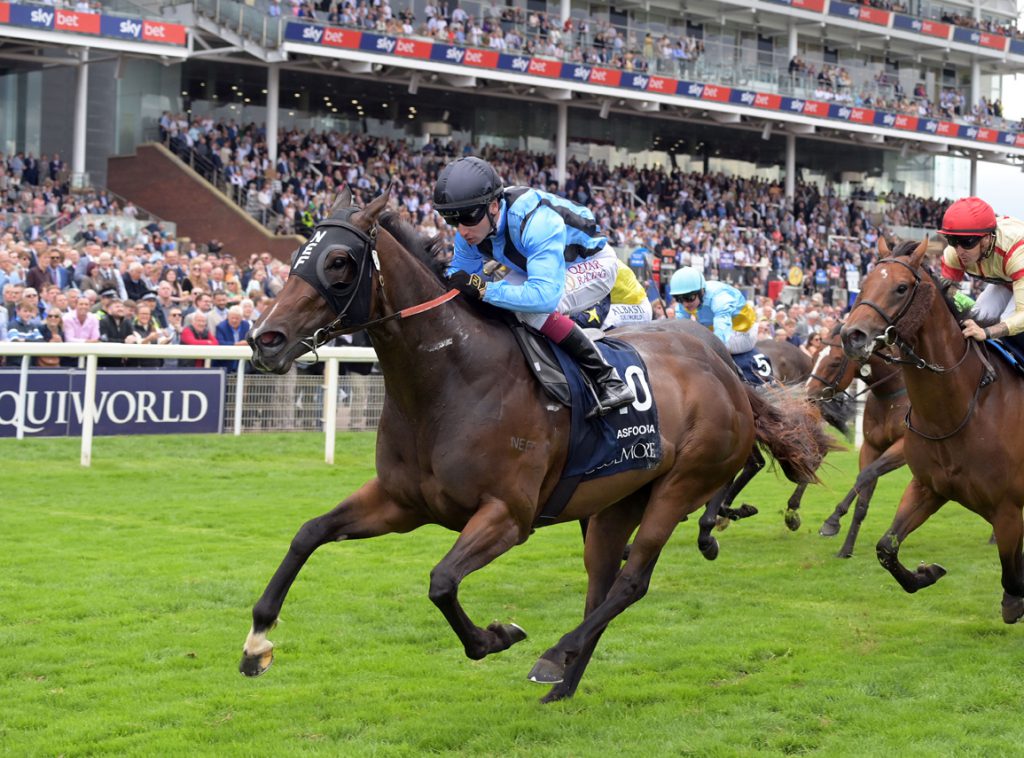 Asfoora takes the Nunthorpe