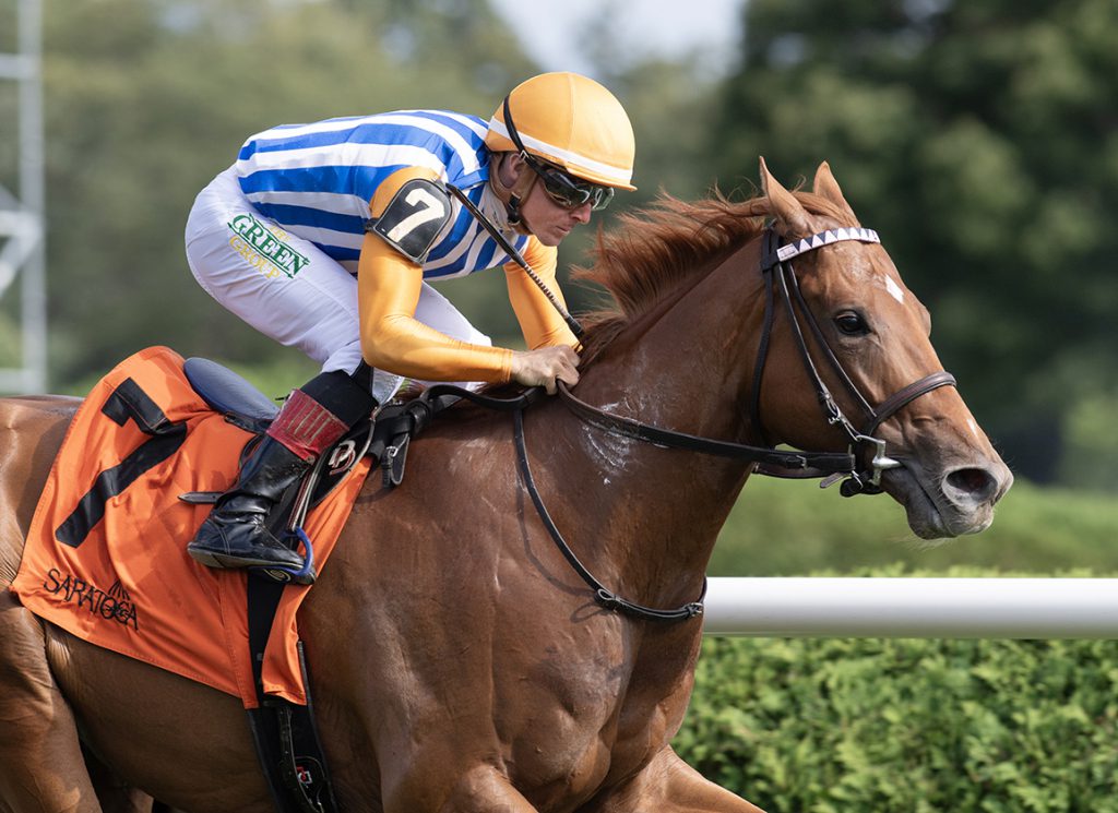 Attfield at Saratoga