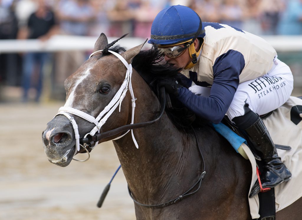 Belgian wins debut at Saratoga