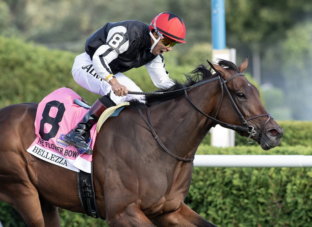 Bellezza at Saratoga