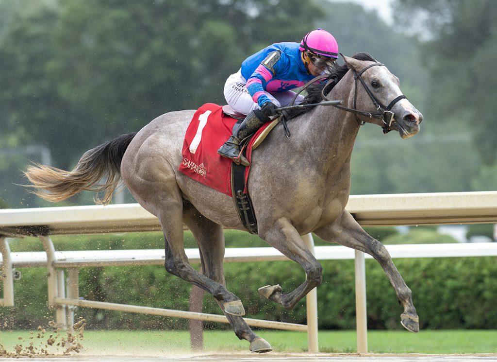 Celtic Dawn at Saratoga