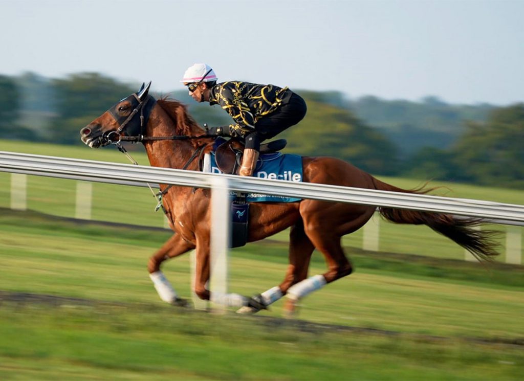 Danon Decile and trainer Shogo Yasuda in Newmarket