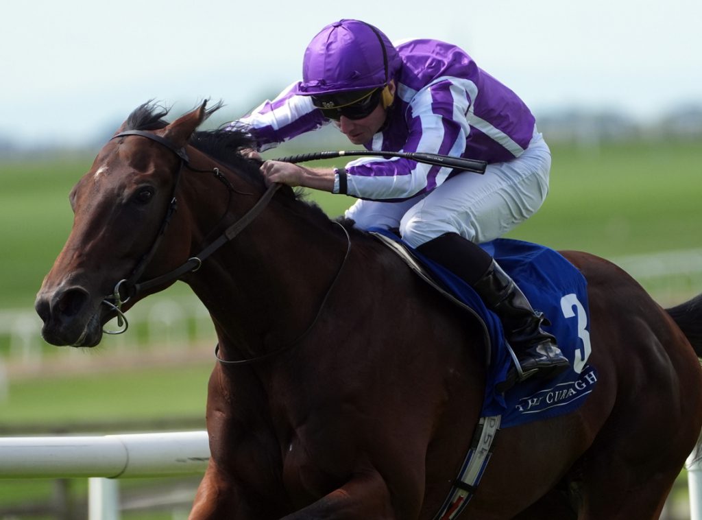 Delacroix takes part in the Juddmonte International