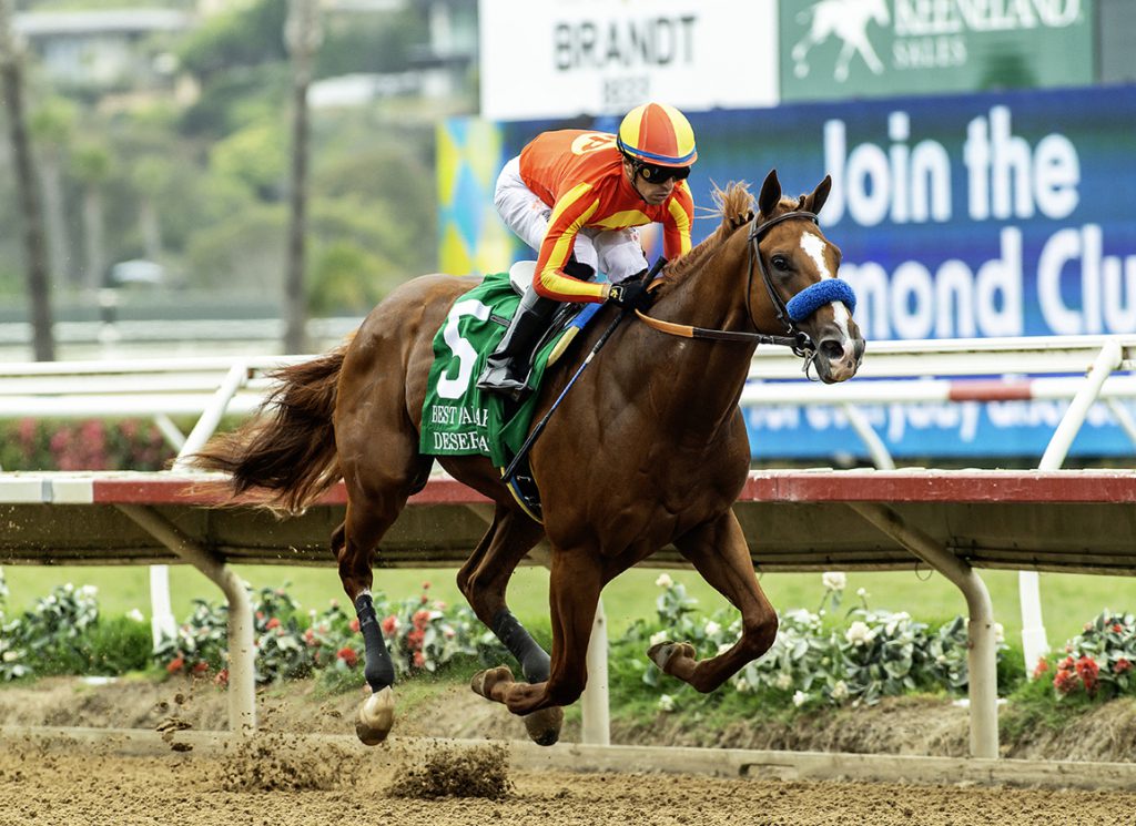 Desert Gate at Del Mar