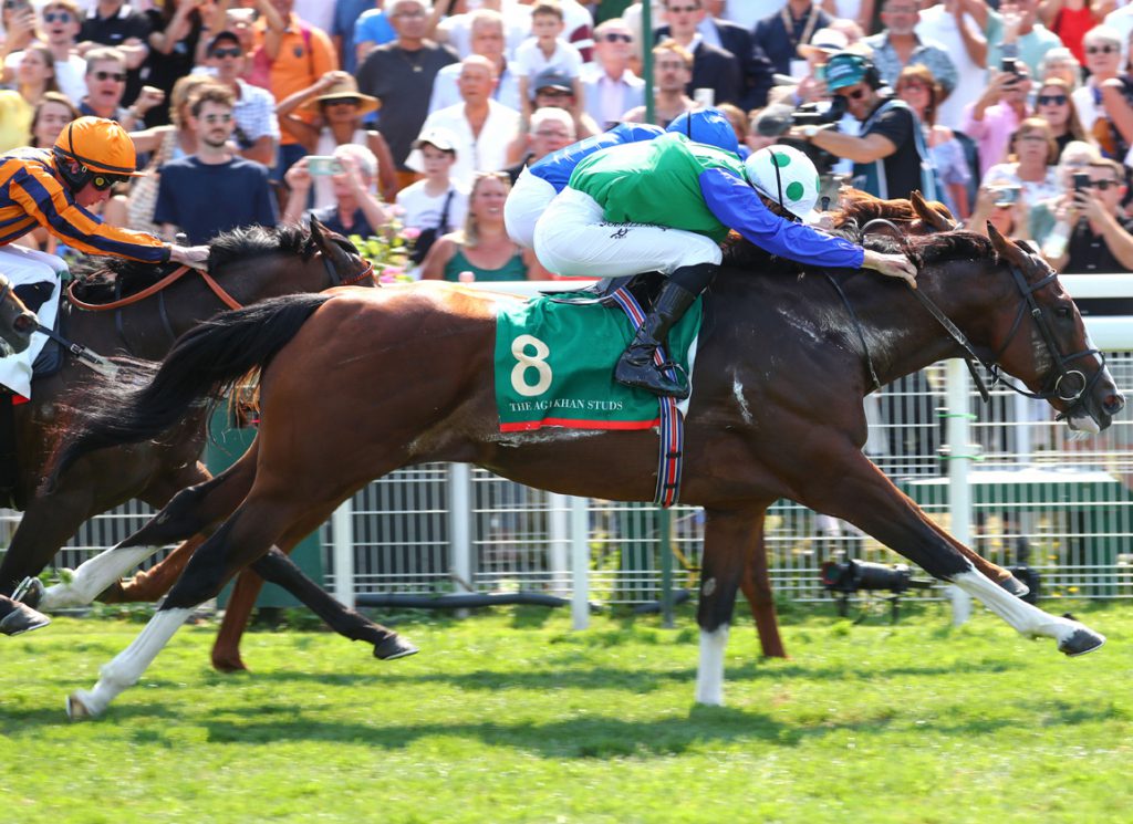 Diego Velazquez wins the Marois