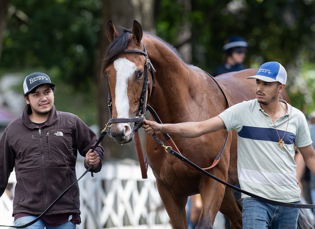 Dr. Agne at Saratoga