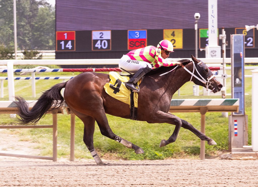 Dreaming of Alys wins debut at Laurel Park