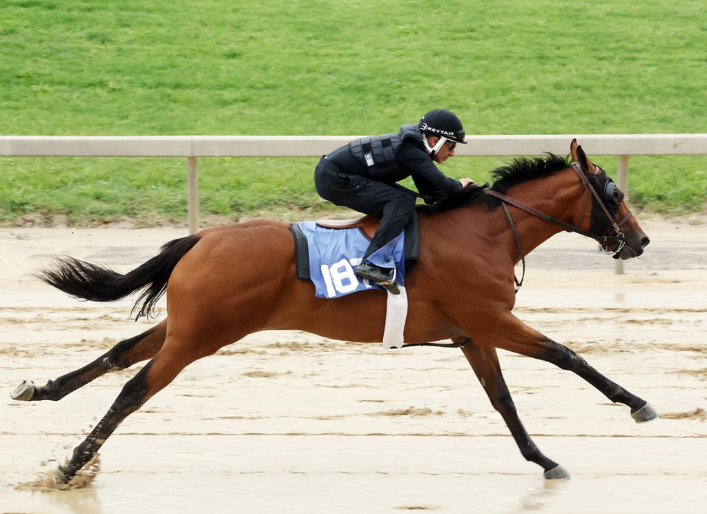 Froutien at the Fasig-Tipton Midlantic May 2-Year-Olds in Training Sale