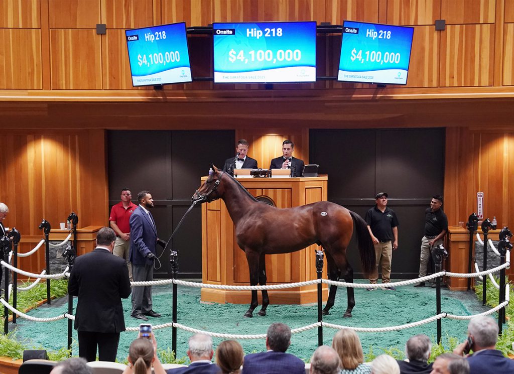 Into Mischief colt at Fasig-Tipton Saratoga