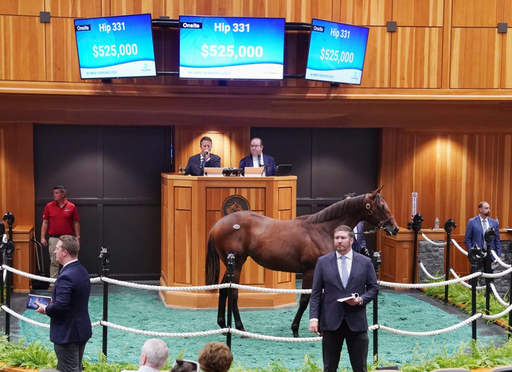 filly by Early Voting