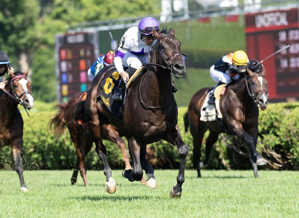 Intricate Spirit at Saratoga