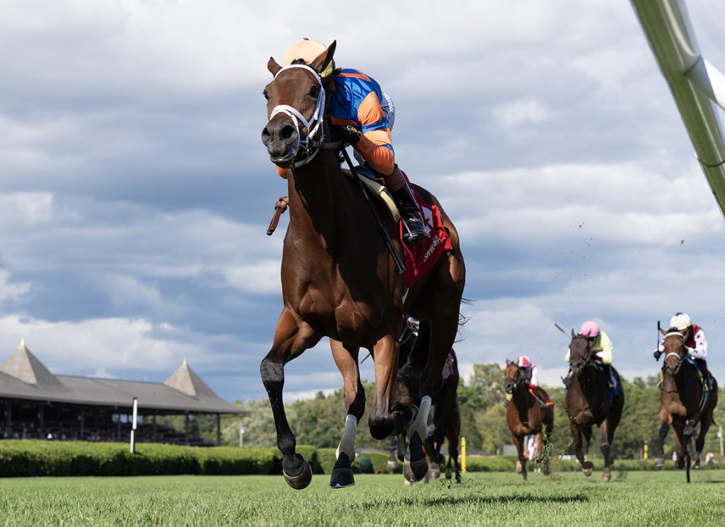 Miss Picky at Saratoga