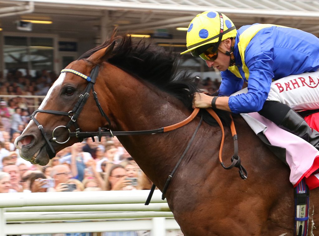 2025 G2 Hungerford Stakes winner More Thunder