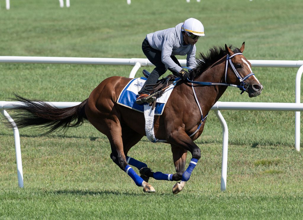 Mystik Dan breezes on Saratoga grass