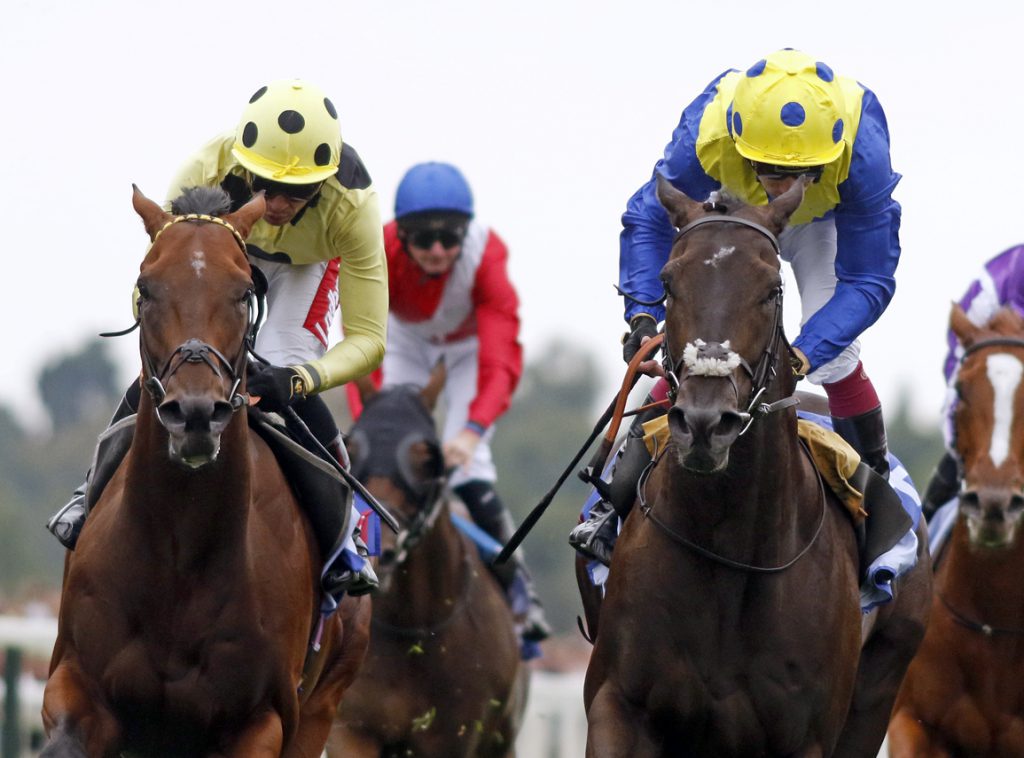 Never So Brave bests City Of York field