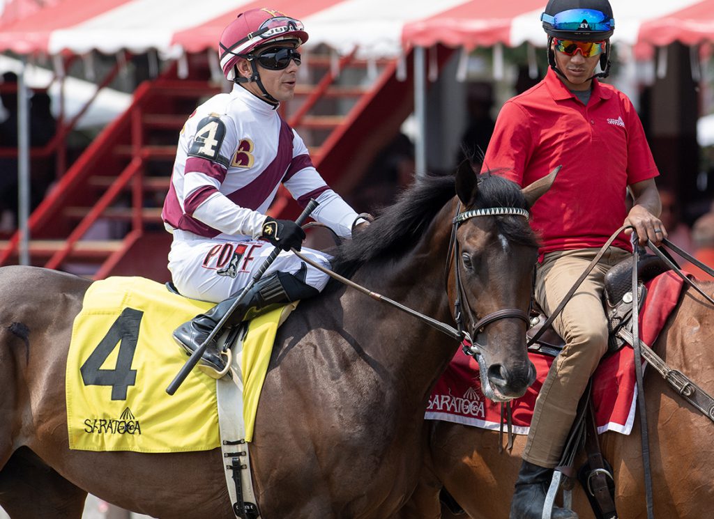 Noble Dynasty in post parade at Saratoga