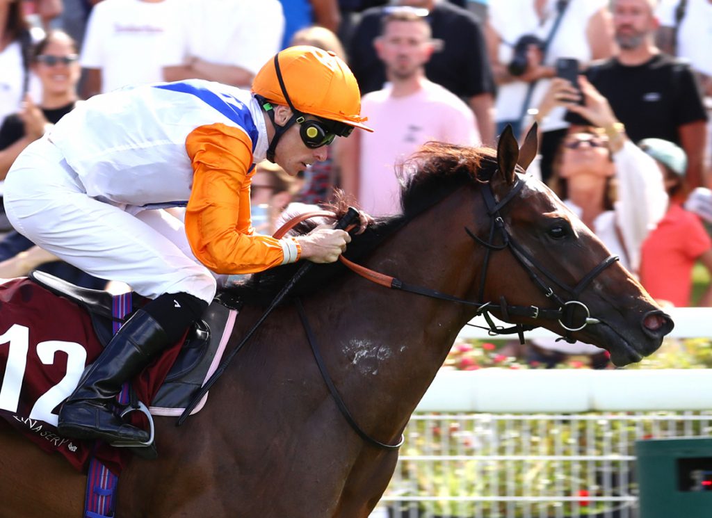 Northern Champion winning on debut