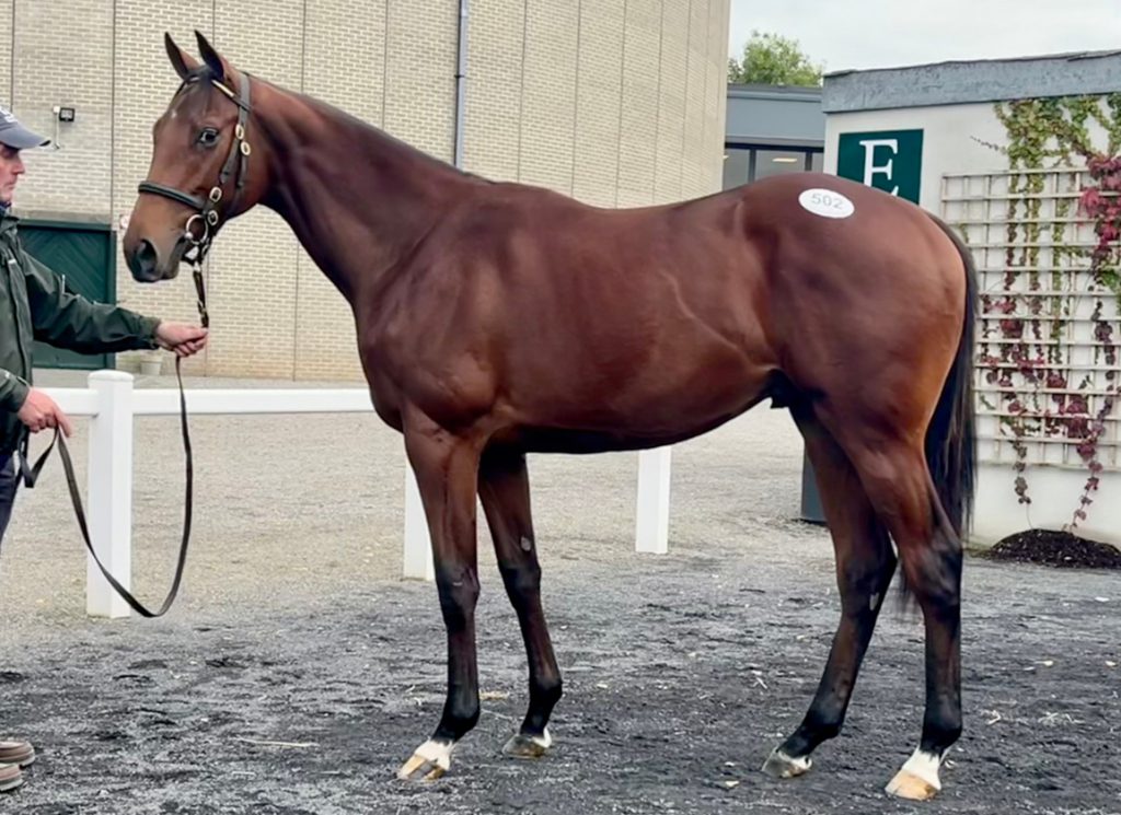 The Goffs graduate has won at second asking