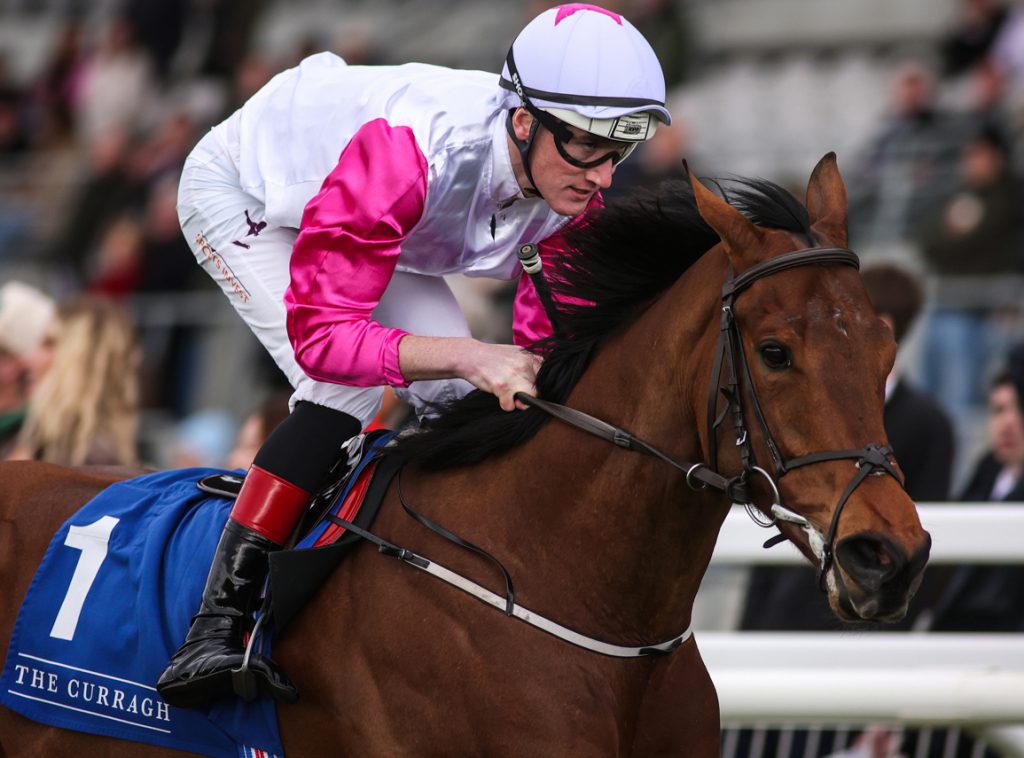 Power Blue is a Group 1 winner by Space Blues