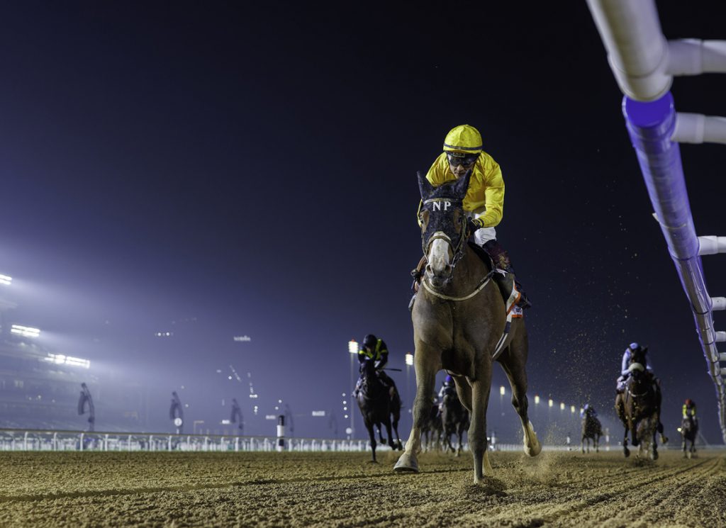 Queen Azteca UAE Oaks