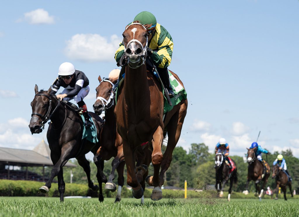 Scratch It at Saratoga