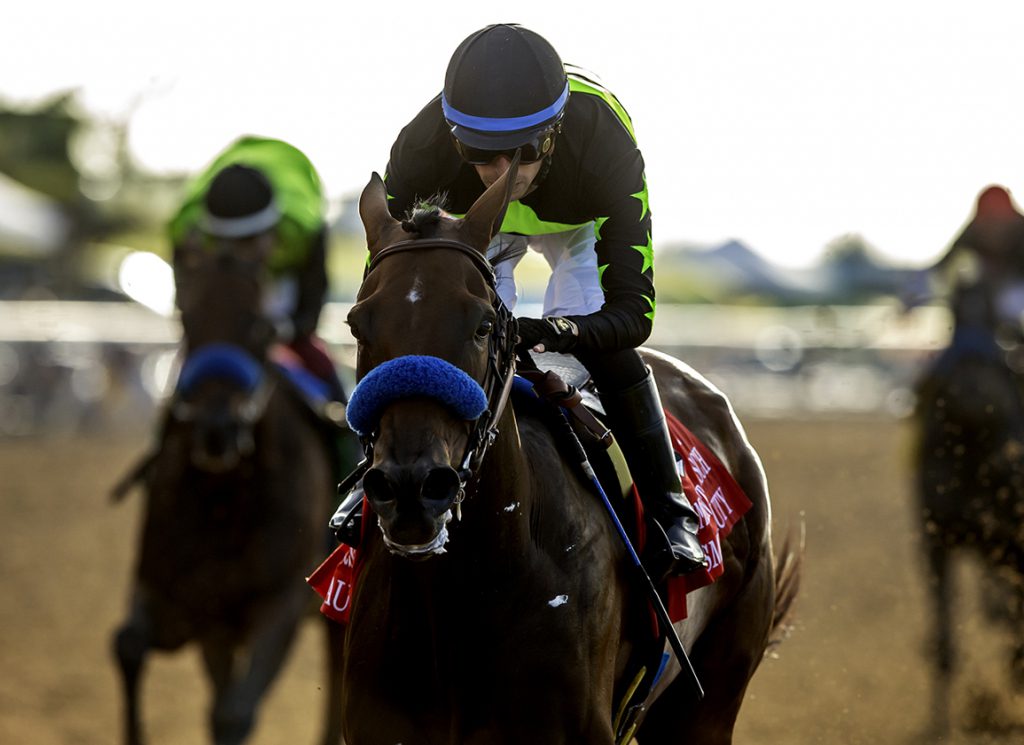 Seismic Beauty at Del Mar