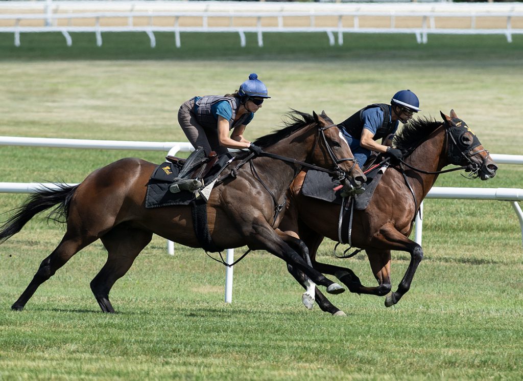 Schwarzenegger and Shoot It True at Saratoga