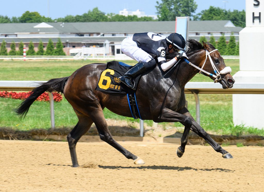 Silent Rule at Thistledown