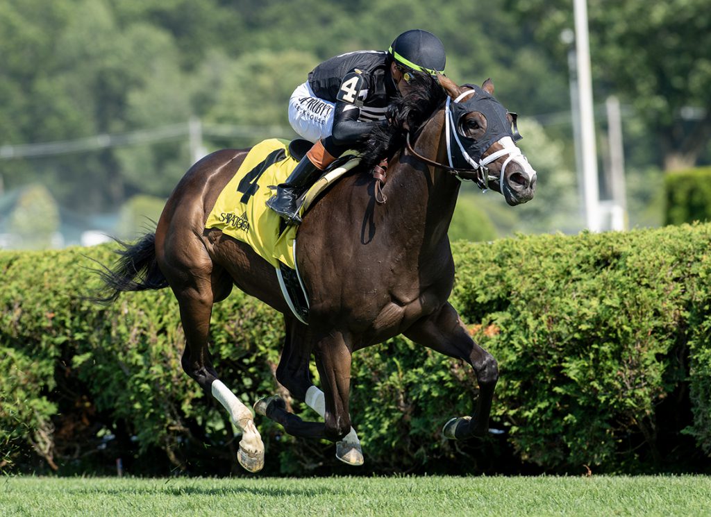 Snow Face Princess at Saratoga