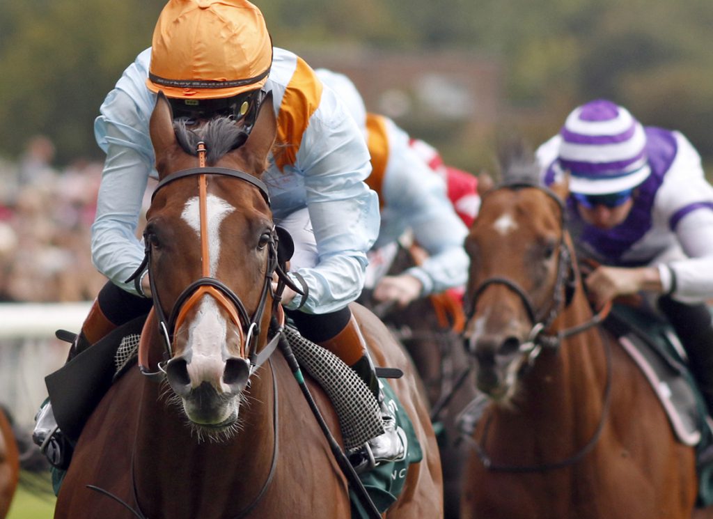 Song Of Clyde winning the Harry's Half Million