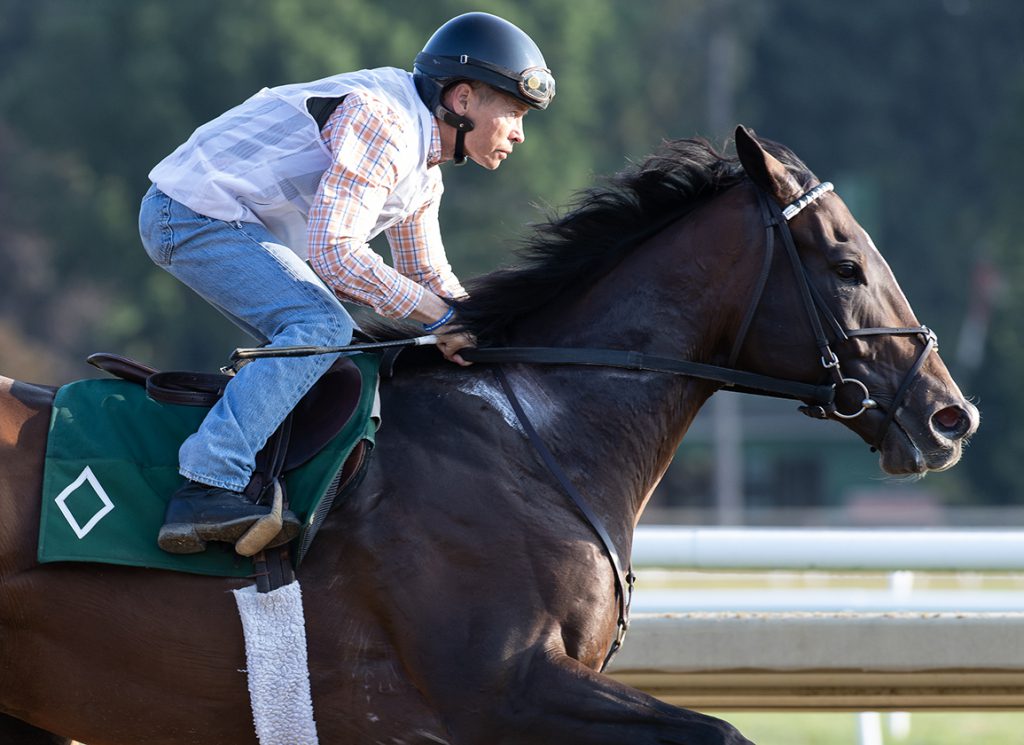 Sovereignty and Neil Poznansky at Saratoga