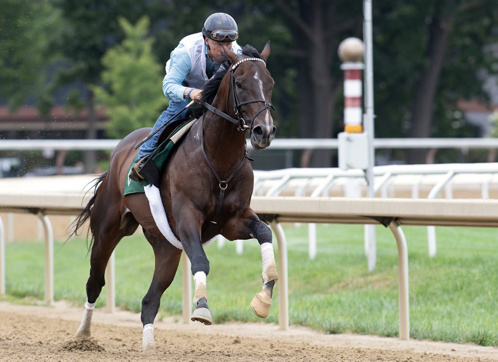 Sovereignty at Saratoga
