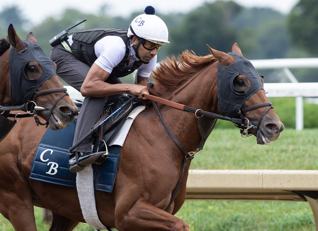 Strategic Focus at Saratoga