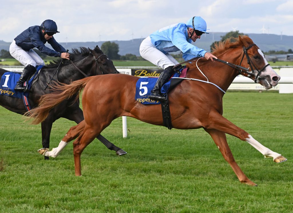 Thesecretadversary is the first stakes winner for St Mark's Basilica