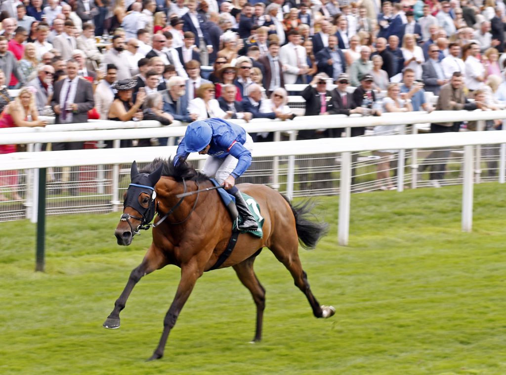 Trawlerman doing his thing in the Lonsdale Cup