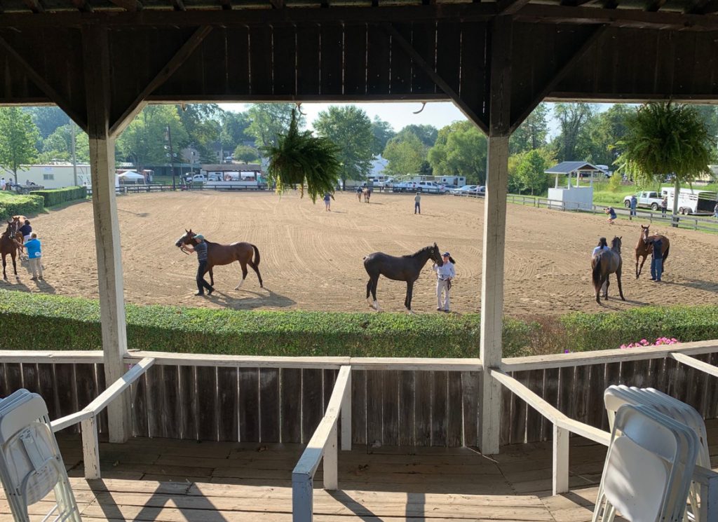 2021 Virginia Yearling Futurity