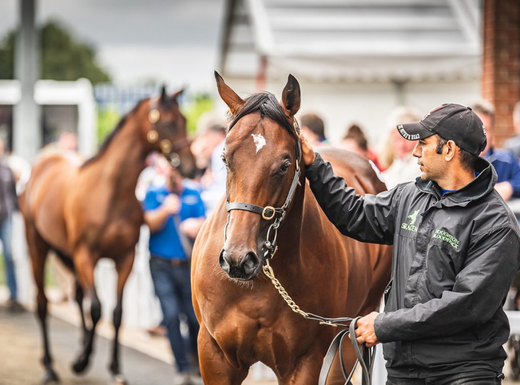The 2023 top lot at the Goffs UK Doncaster Premier Yearling Sale