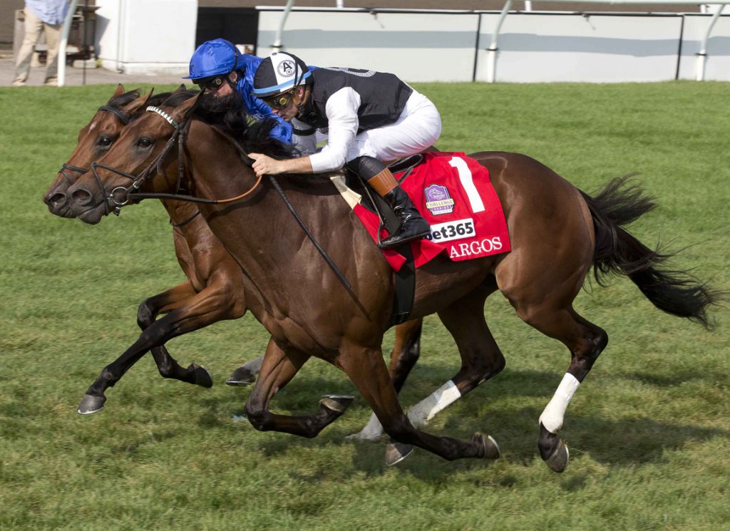 Argos wins at Woodbine
