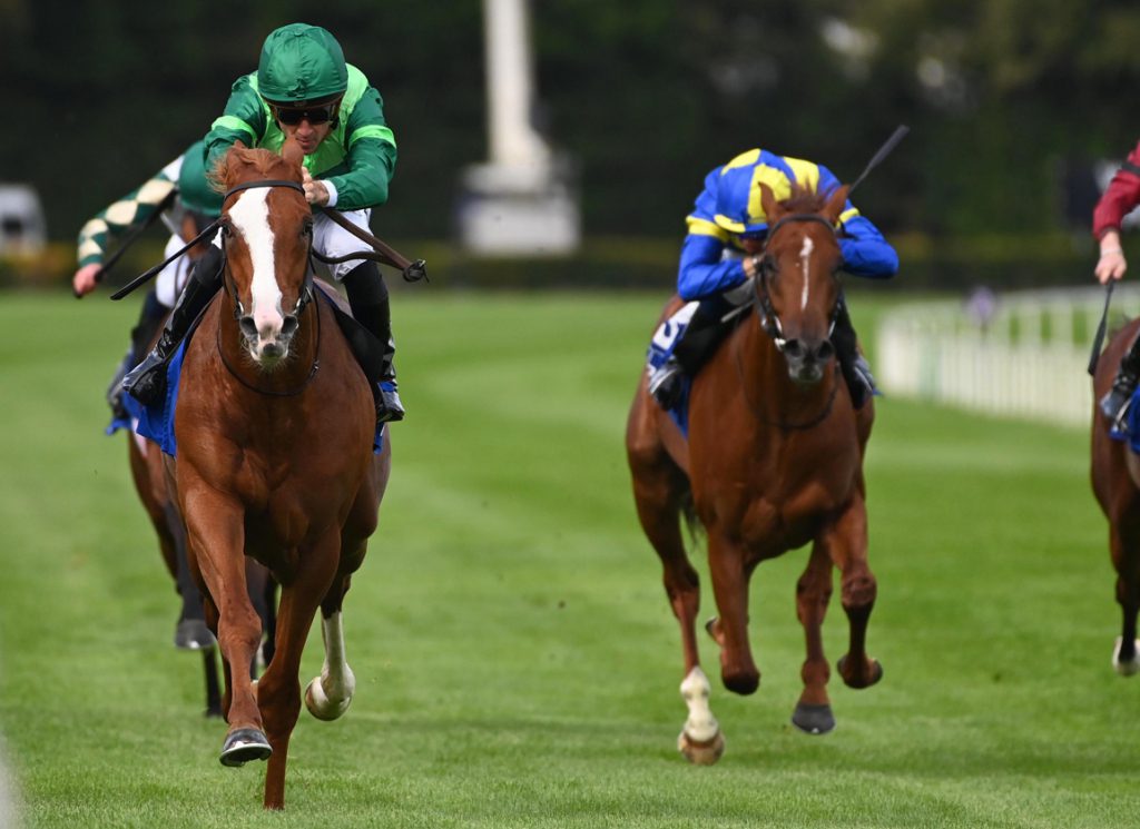Benvenuto Cellini at Leopardstown